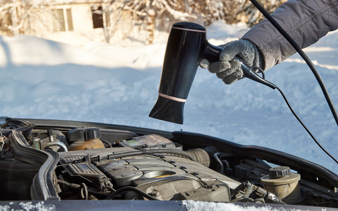 Фото: Shutterstock