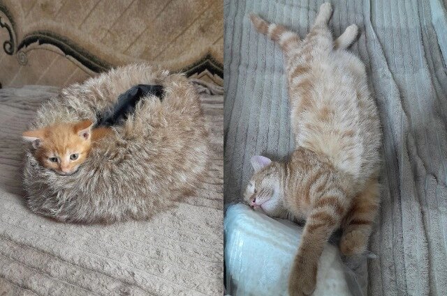    Фото: Из личного архива/ Татьяна Черных