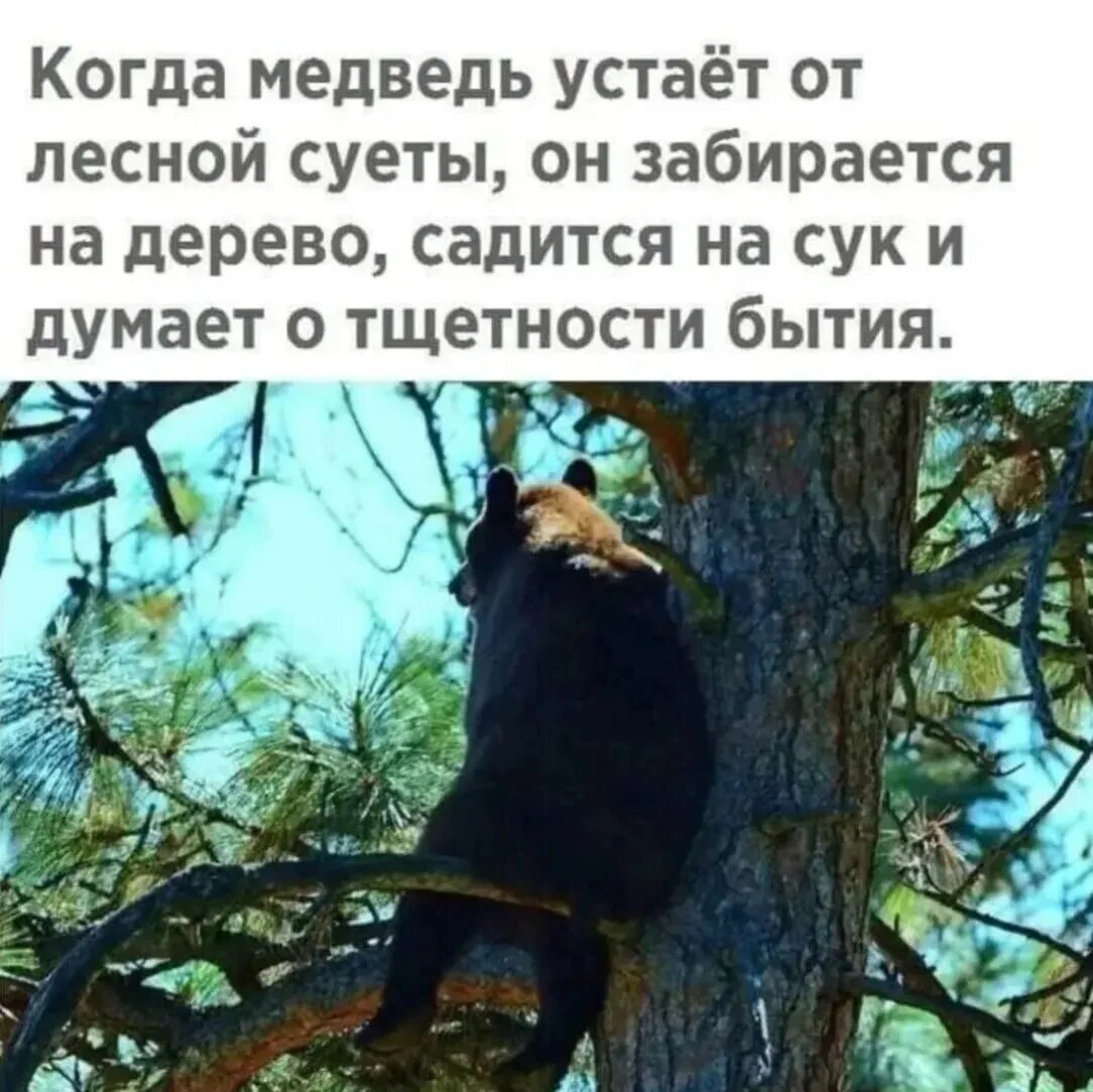 -5