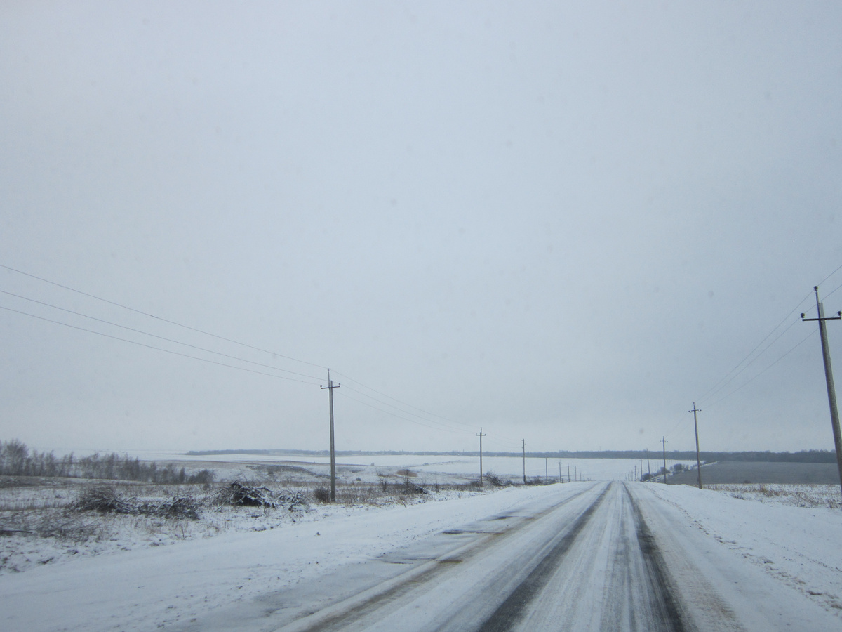 Фото автора.