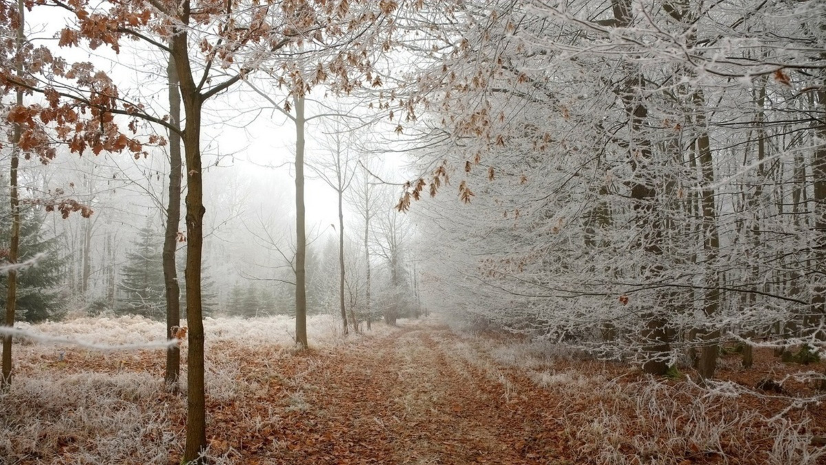 Поздняя осень тоже может быть прекрасной.