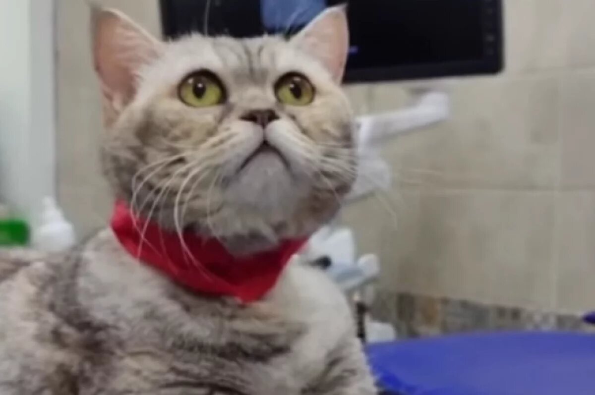    Ванде примерно 13-14 лет.