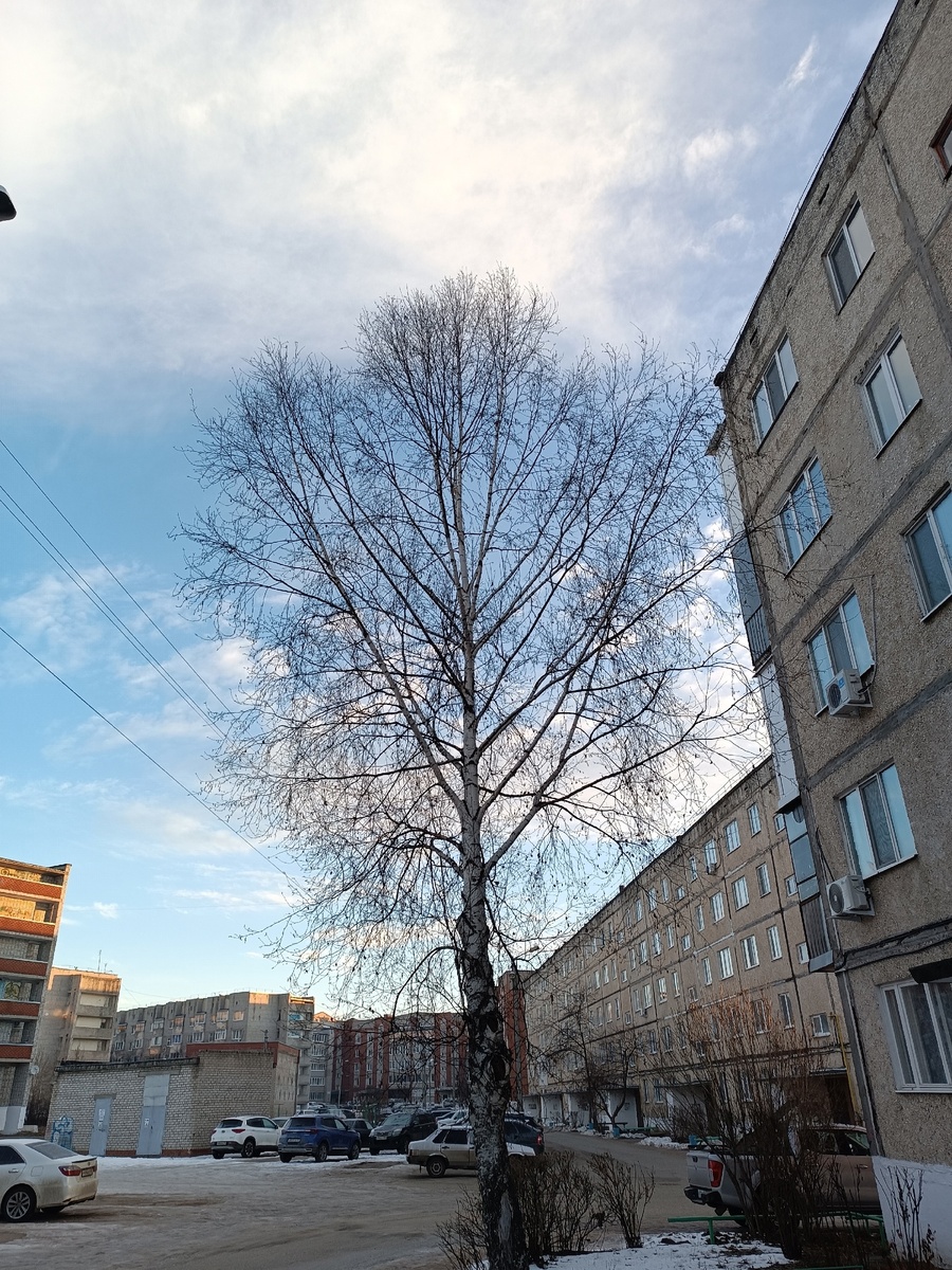 Позднее утро - никого нет