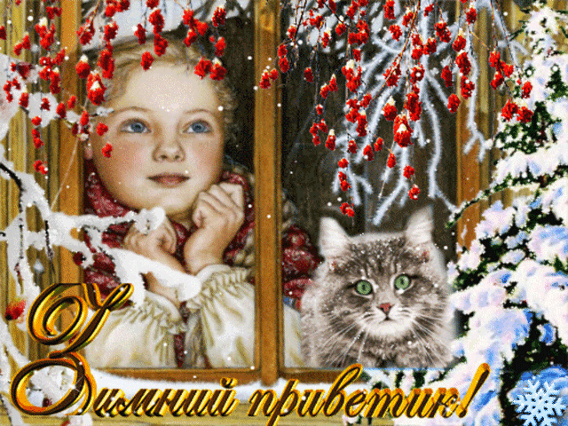 Яндекс картинки