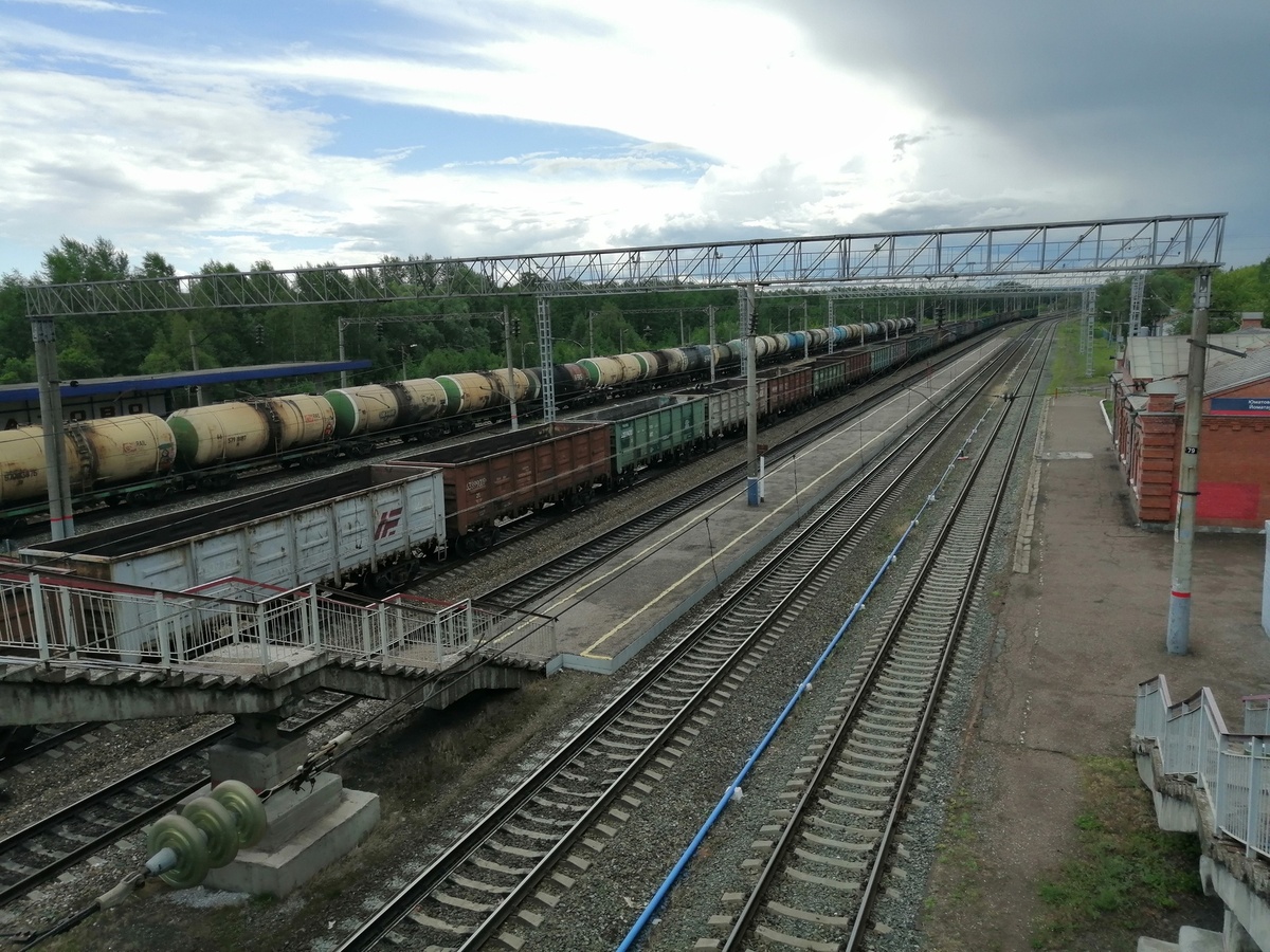 Фото: Алексей Чугунов