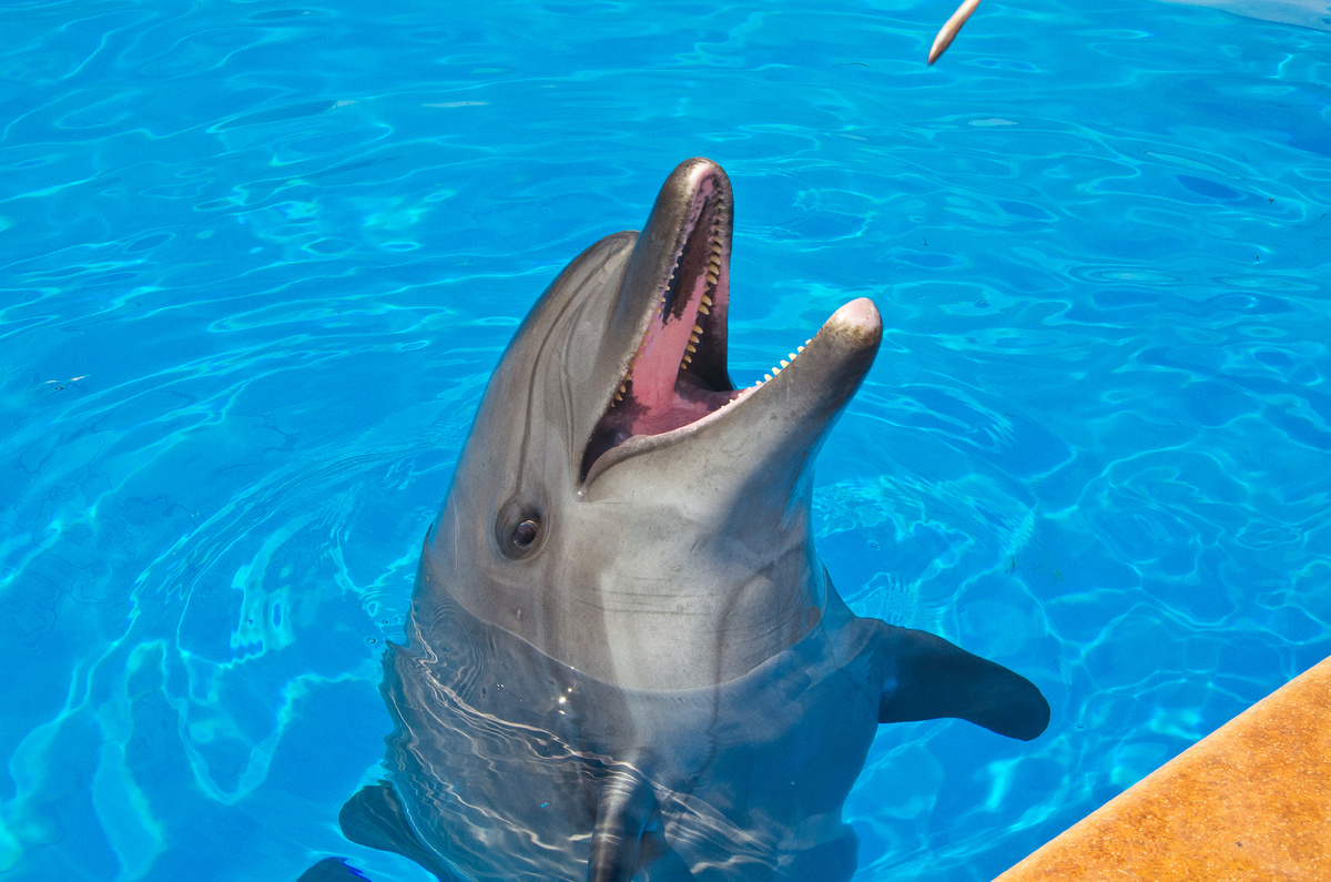 Фото: Наталья Райхель 