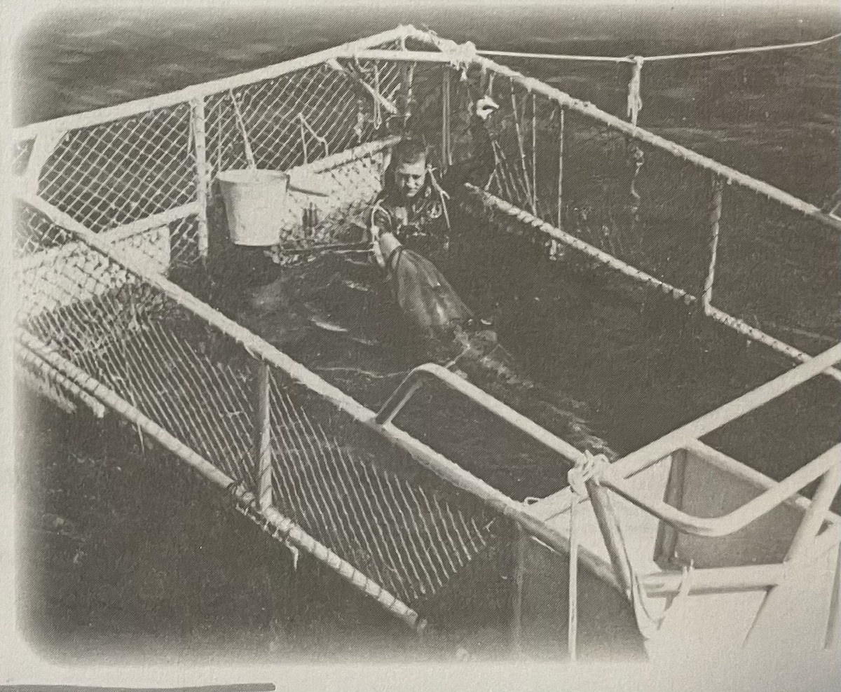 Подготовка Титана к отработке задачи поиска в открытом море 