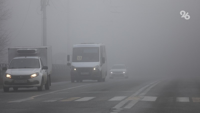      Фото: ИА «Победа26»