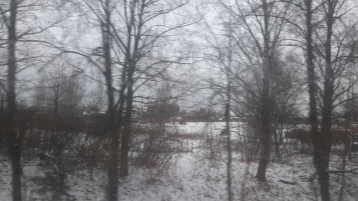 Вид из окна автобуса