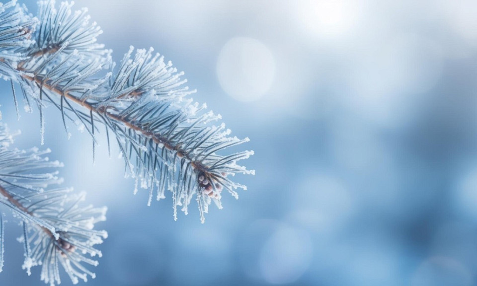 Фото: ru.freepik.com