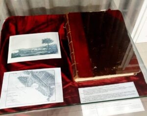    Фото с сайта t.me/gelen_social