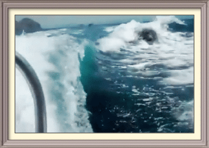 Фото: Яндекс картинки