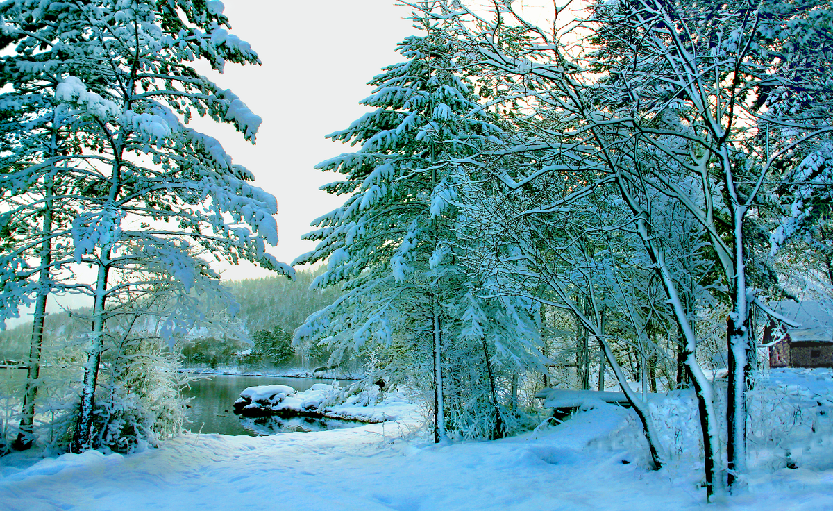 Фотография, стихотворение Василия Глуцкого