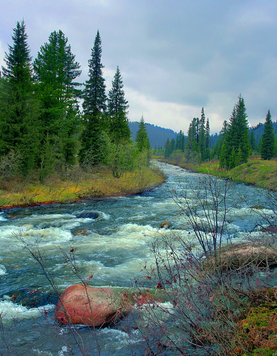 Фотография, стихотворение Василия Глуцкого