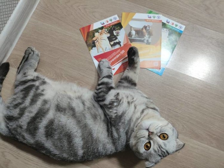    30 ноября - Всемирный день домашних животных