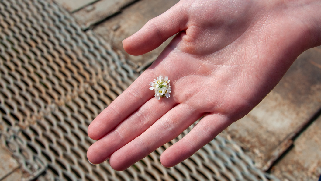    Svetlana Vozmilova/Global Look Press