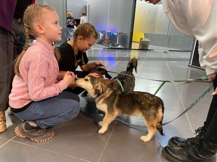  📷 📷 📷 📷 📷 📷