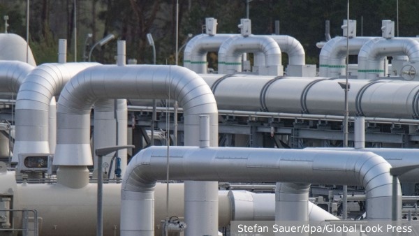     Фото: Stefan Sauer/dpa/Global Look Press   
 Текст: Александра Юдина