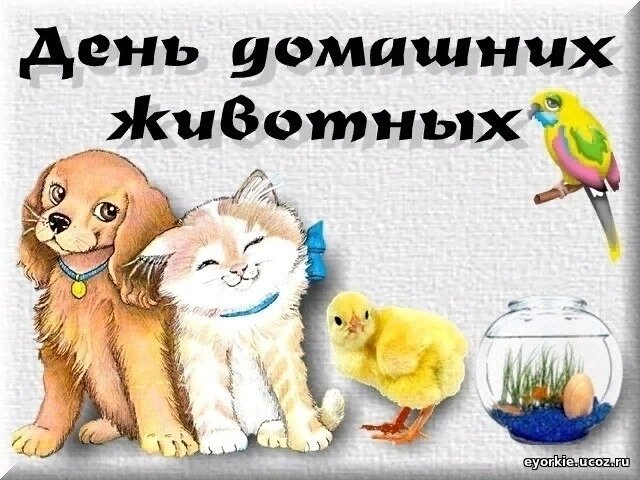 Фото взято из официального сообщества Виктории Ледерман.