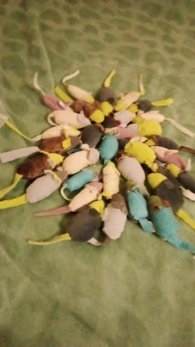 Стайка мышей