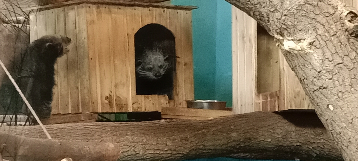 время обеда