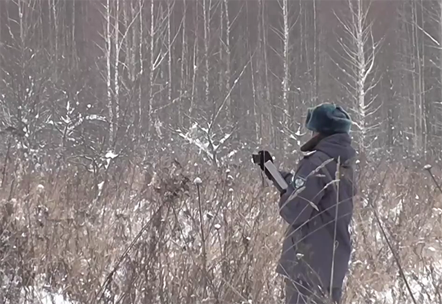 Это не лес! В Тверской области агрофирме предложили выращивать что-нибудь другое
