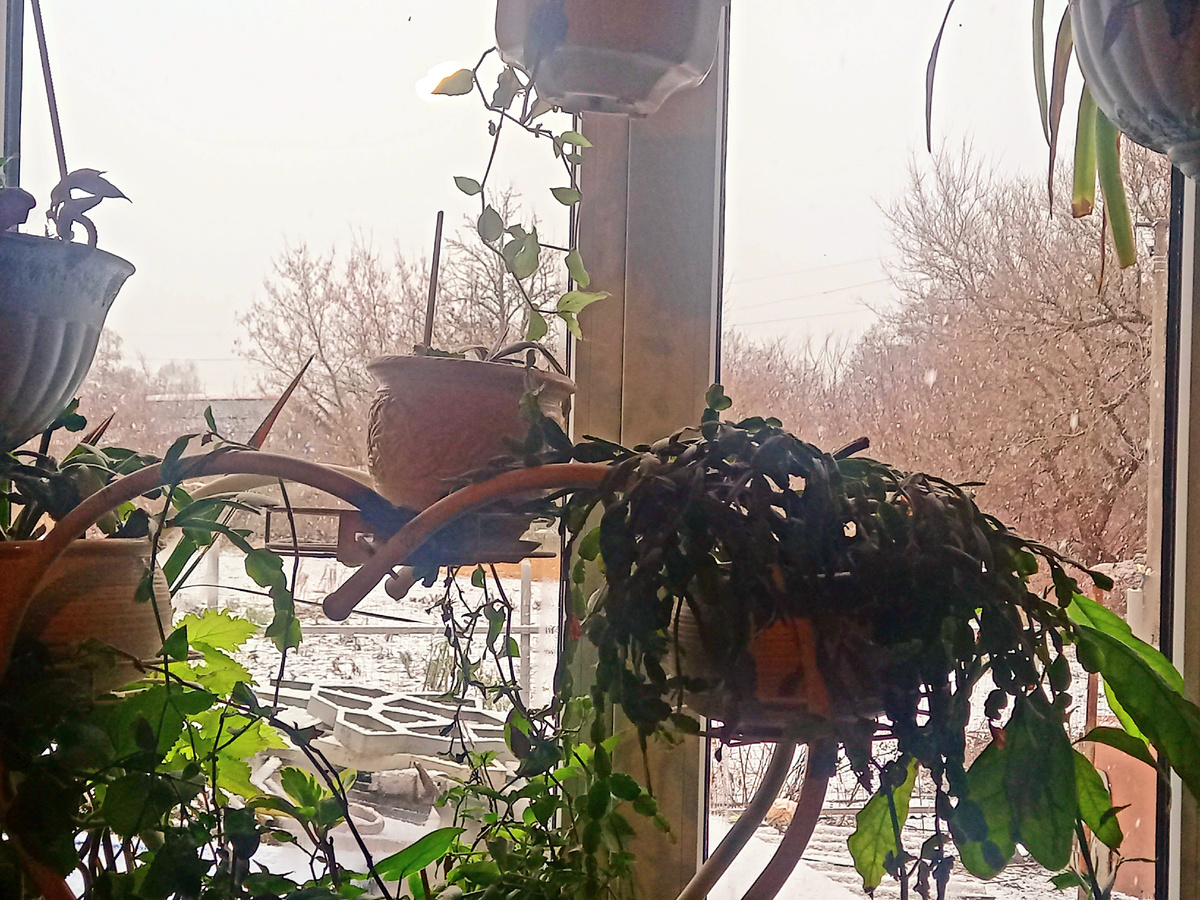 Фото автора 