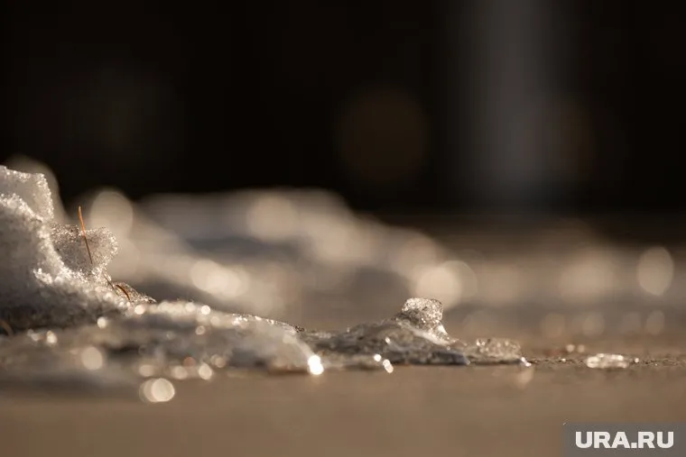 В декабре по России температура воздуха может быть в пределах средней нормы, либо выше
Фото: Руслан Яроцкий © URA.RU