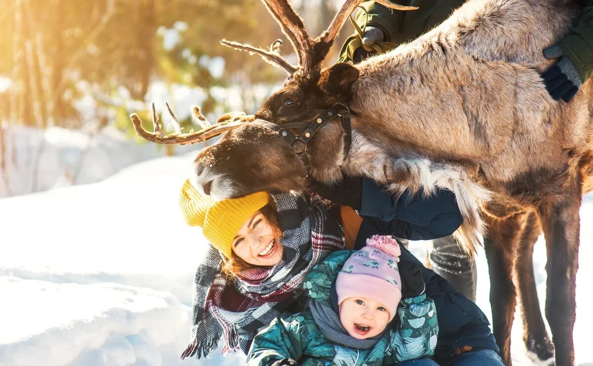    Зимняя сказка Тюменской области