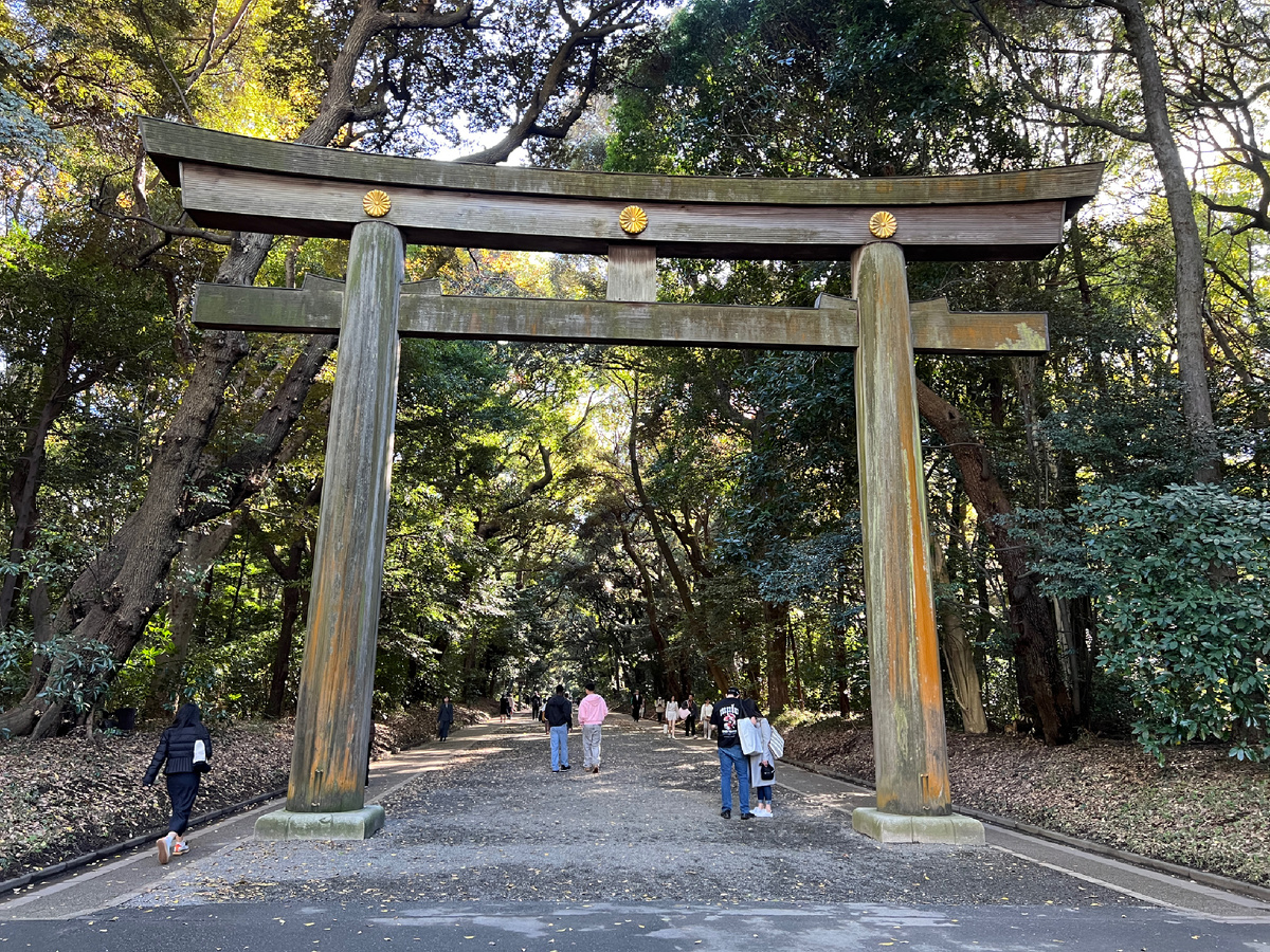 Самые большие в Японии деревянные тории. Фото автора 