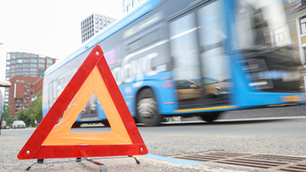    Фото: Petrov Sergey/Globallookpress.