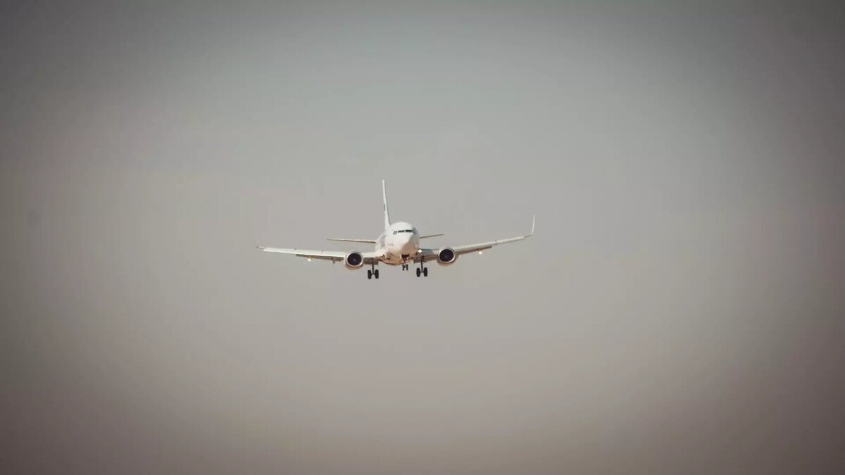     Источник: 1MI