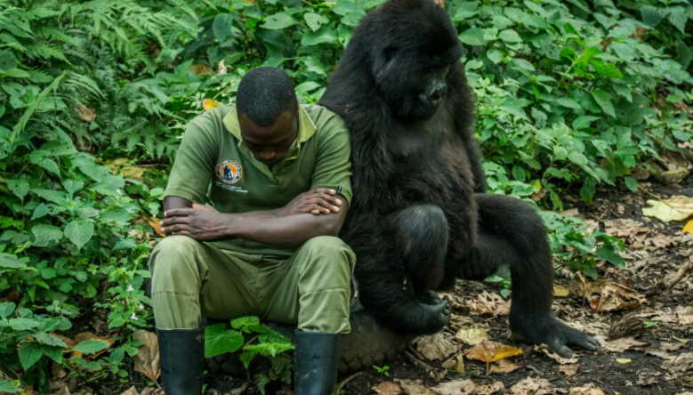 Ну что с тобой делать будем?
