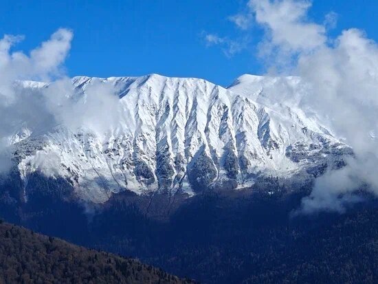    Фото: Юрий Серебренников/BFM Кубань