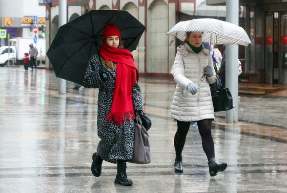    Сергей Булкин/NEWS.ru