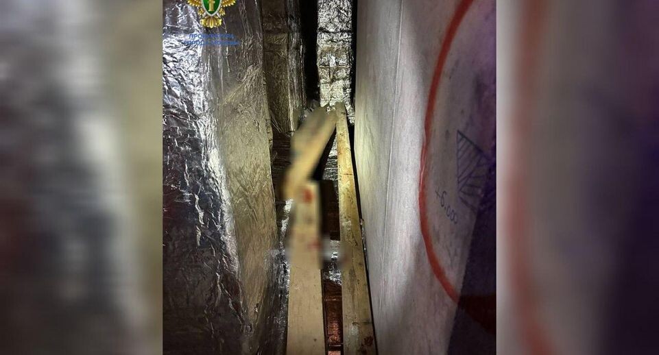    Пресс-служба прокуратуры Москвы / Telegram