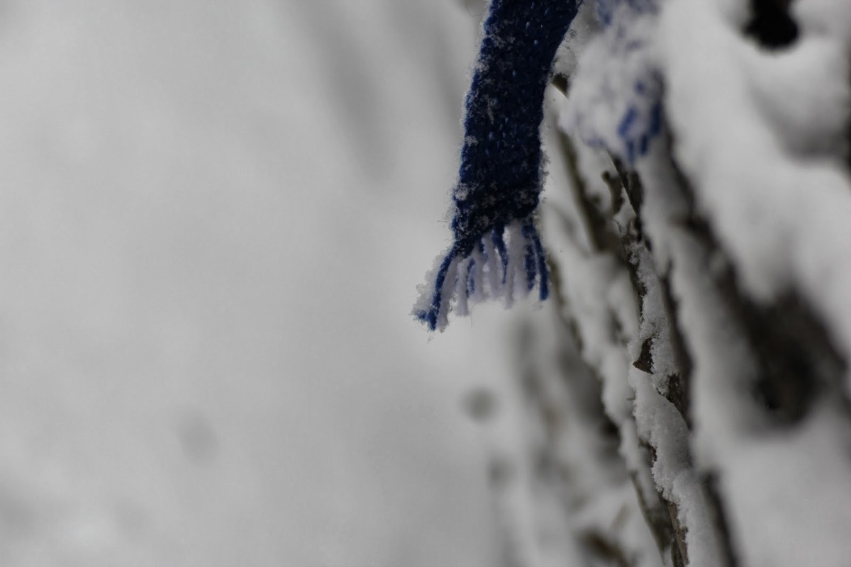 фото автора. 