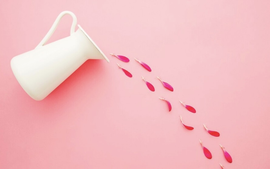       freepik / ru.freepik.com