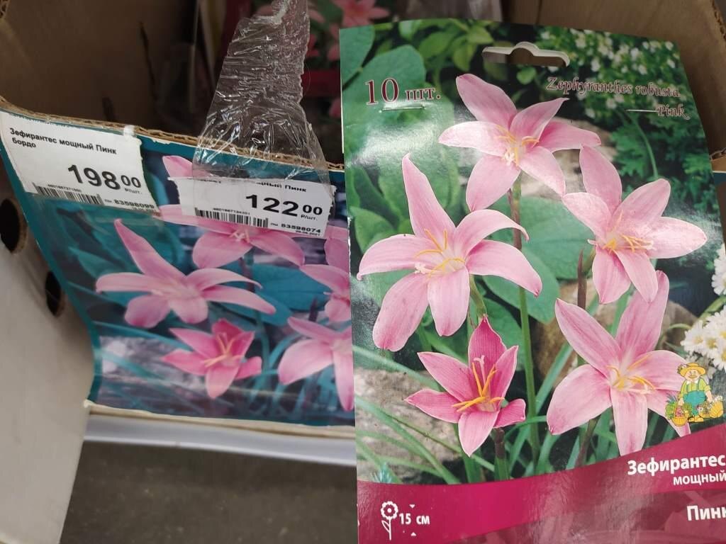 Зефирантес не раскупили даже со скидкой