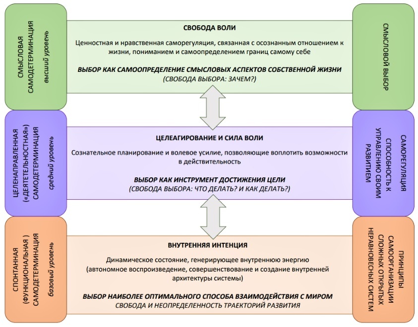 Рисунок 1. Комплементарная модель самодетерминации личности