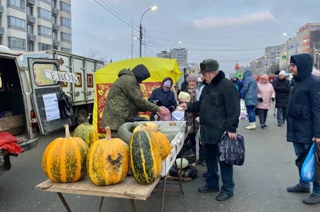    Фото: Министерство АПК и развития сельских территорий Ульяновской области