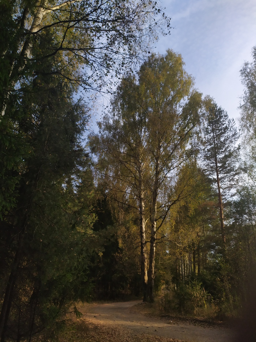 Одно из самых любимых мест.