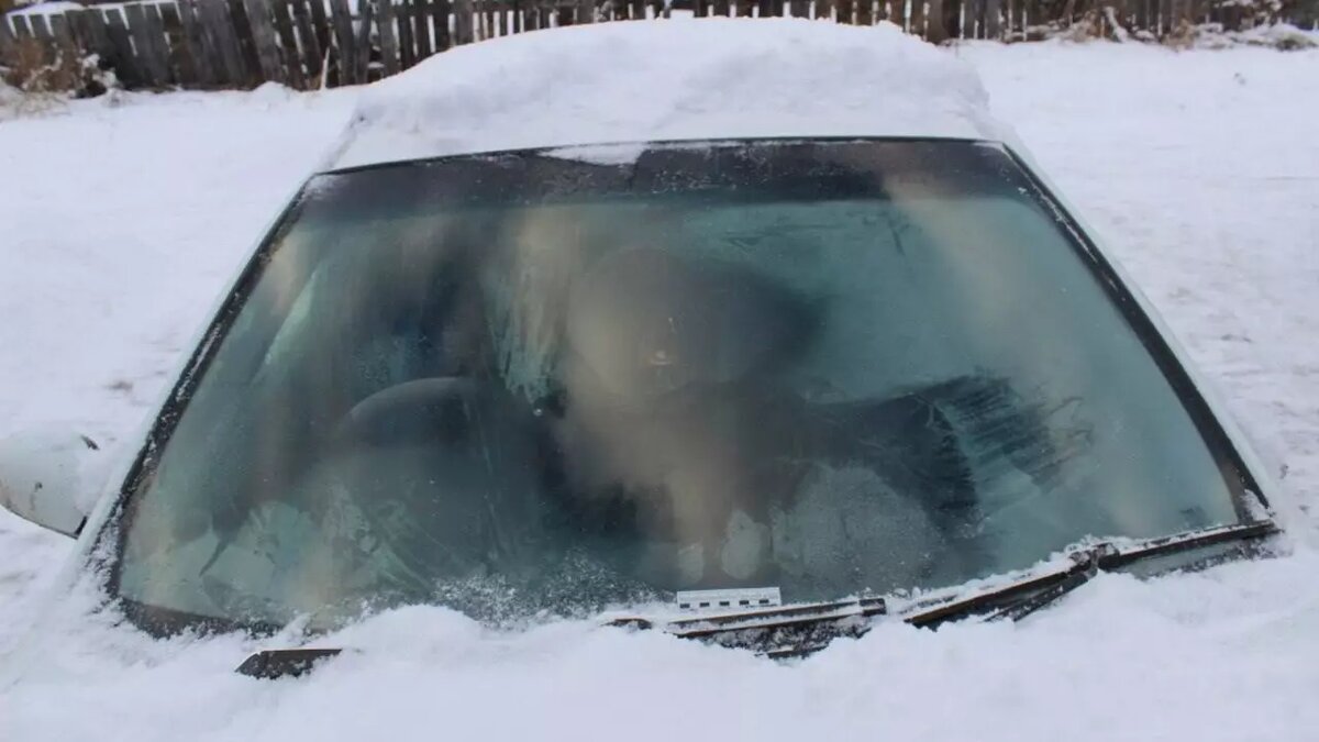     Источник: МВД 24