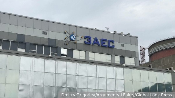     Фото: Dmitry Grigoriev/Argumenty i Fakty/Global Look Press   
 Текст: Александра Юдина