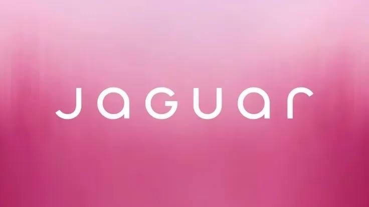 Новый фирменный стиль Jaguar. В моем понимании это не та модернизация, которая нужна была бренду