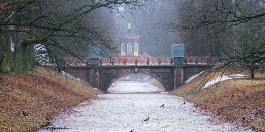    Алена Бобрович