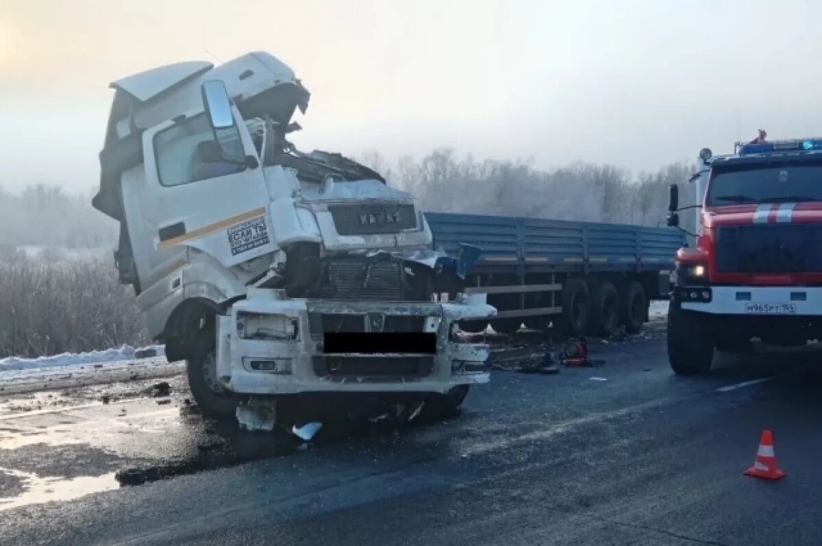    В результате ДТП под Новосибирском погиб водитель КамАЗ