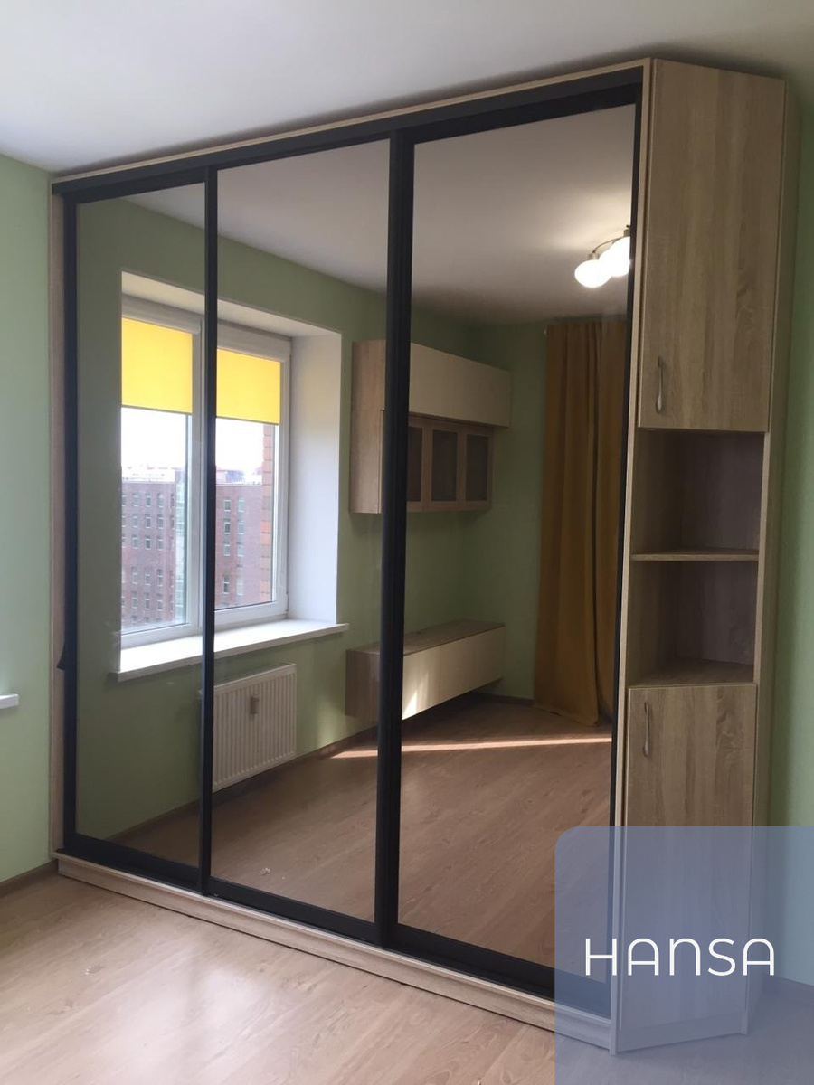 Шкаф-купе для одежды в гостиную, с зеркальными дверьми и боковыми полками, от Hansa Mebel