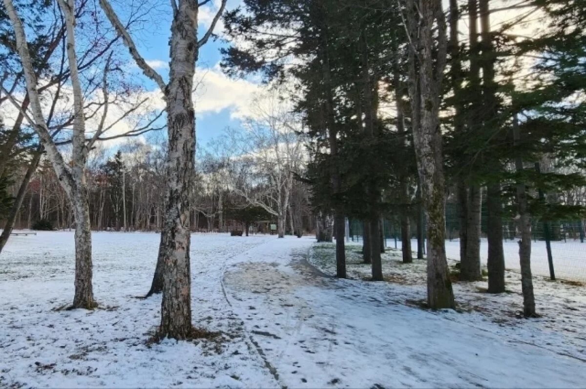    Небольшой снег, поземок и мороз до -37 ожидаются 1 декабря в Забайкалье