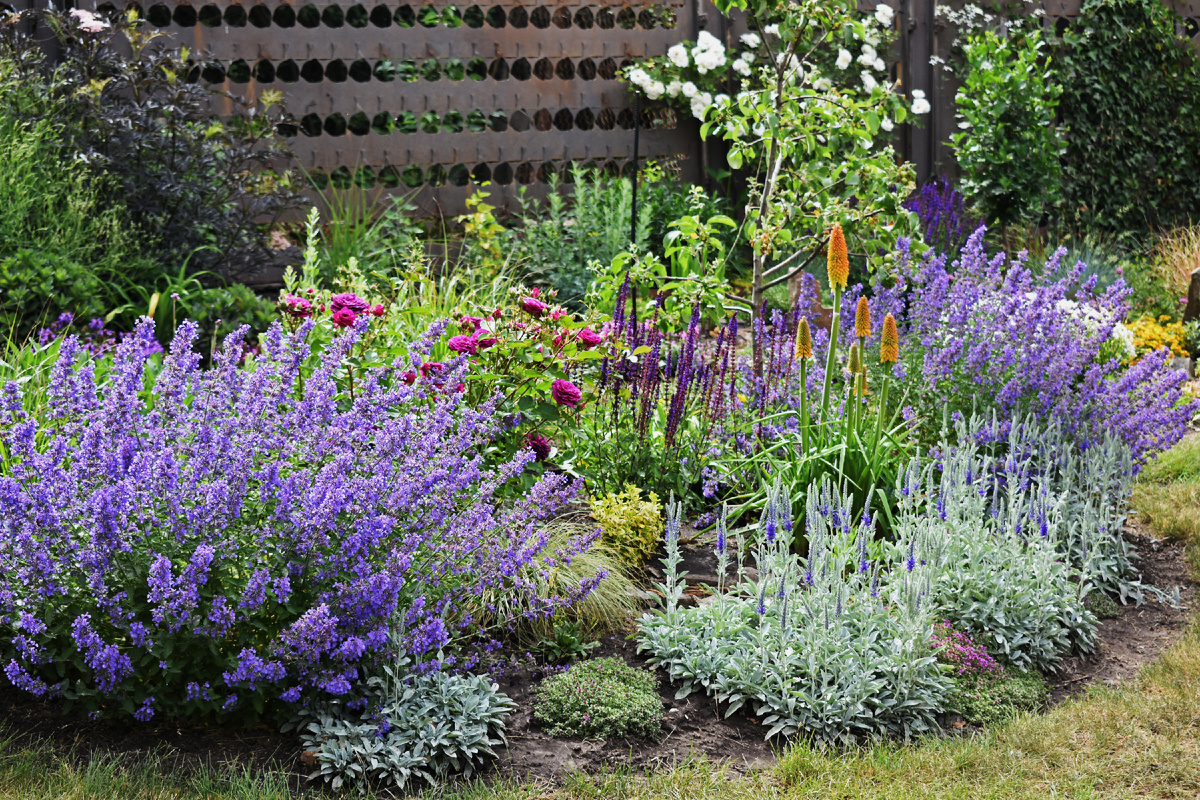 Моя любимая клумба в саду с мая по июль. Сорняков на ней нет абсолютно весь сезон.